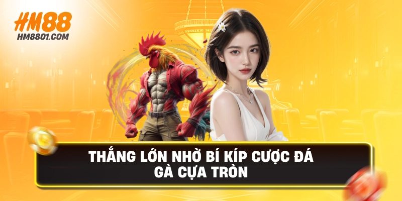 Thắng lớn nhờ bí kíp cược đá gà cựa tròn